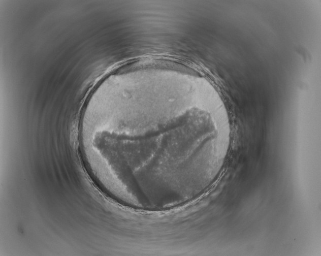 X0000111450002200908241216