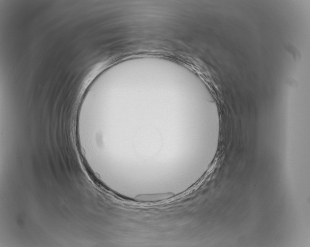 X0000111450003200908241216