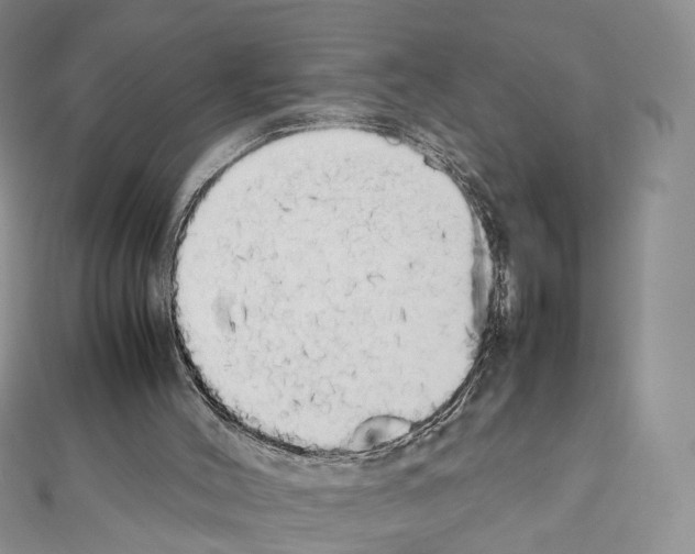 X0000111450004200908241216