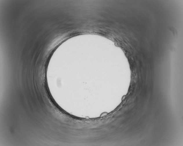 X0000111450005200908241216