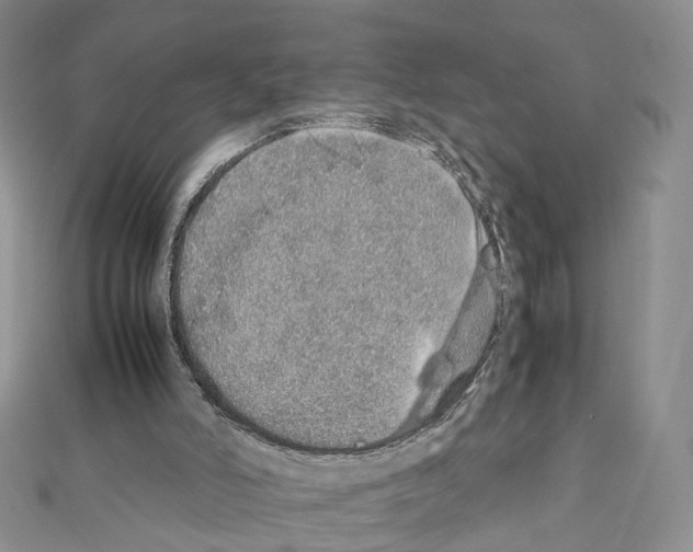 X0000111450006200908241216