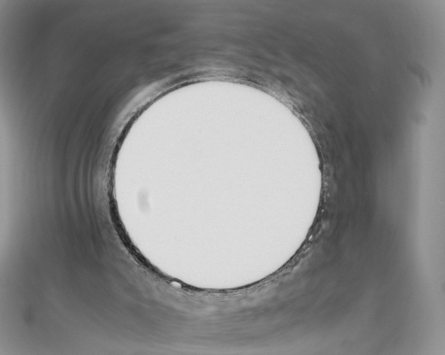X0000111450007200908241216
