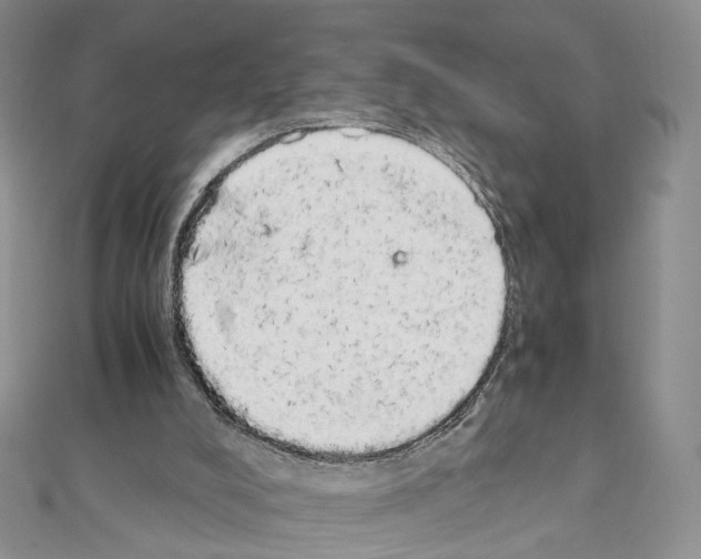 X0000111450008200908241216