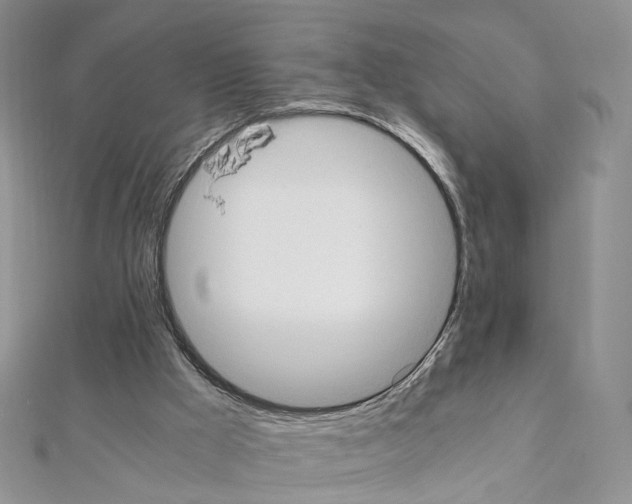 X0000111450009200908241216