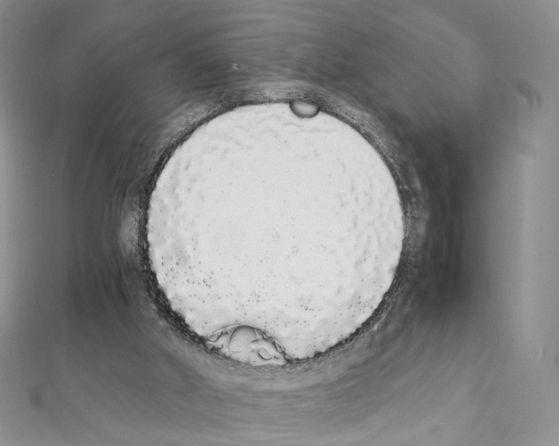 X0000111450010200908241216