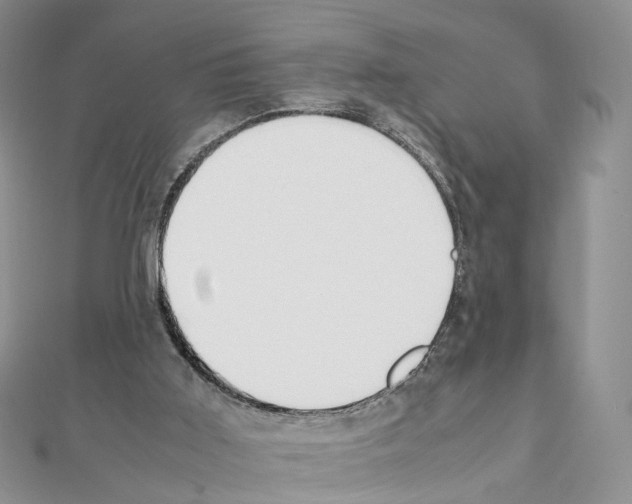X0000111450011200908241216
