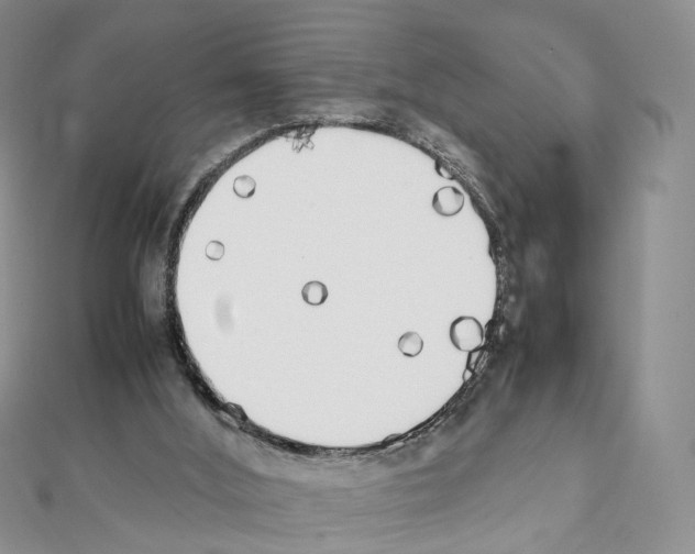 X0000111450012200908241216