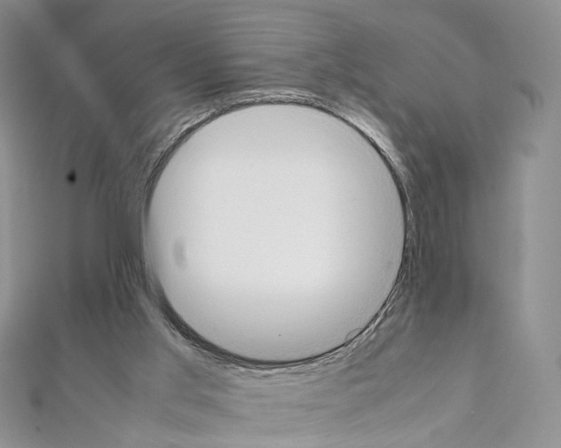 X0000111450013200908241216