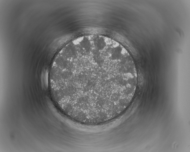 X0000111450014200908241216