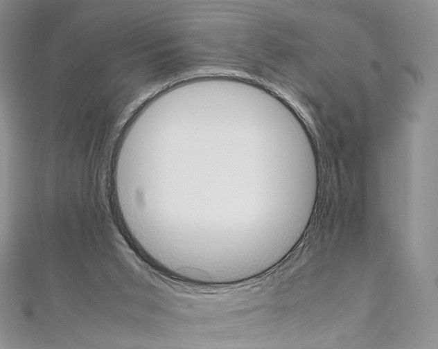 X0000111450015200908241216