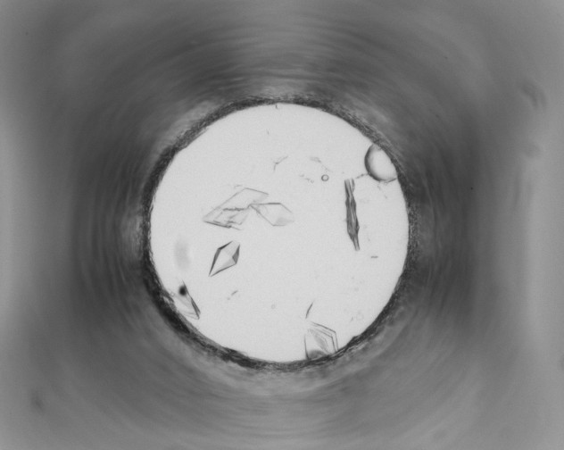 X0000111450016200908241216