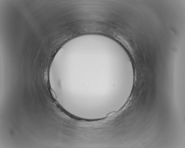 X0000111450017200908241216