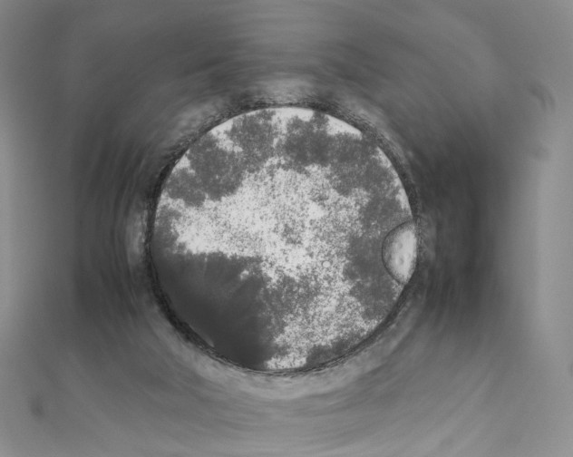 X0000111450018200908241216