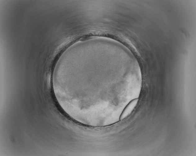 X0000111450019200908241216