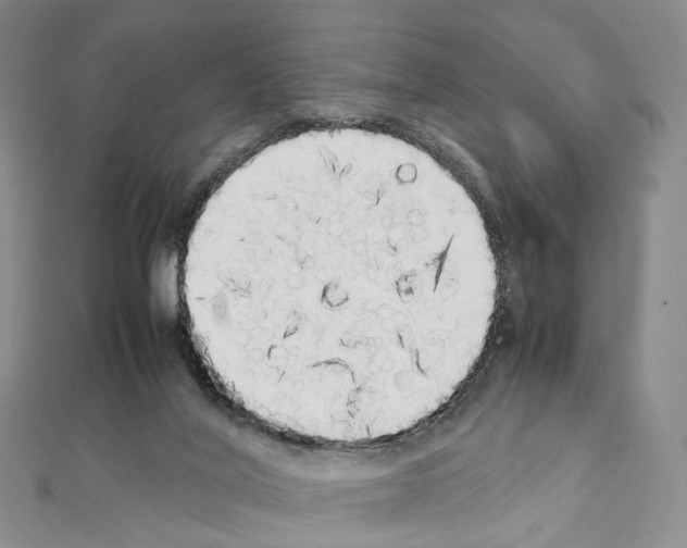 X0000111450020200908241216