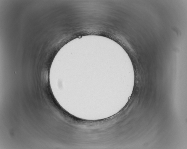 X0000111450021200908241216