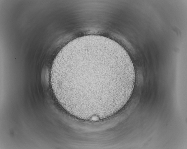 X0000111450022200908241216