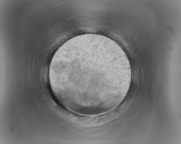 X0000111450023200908241216