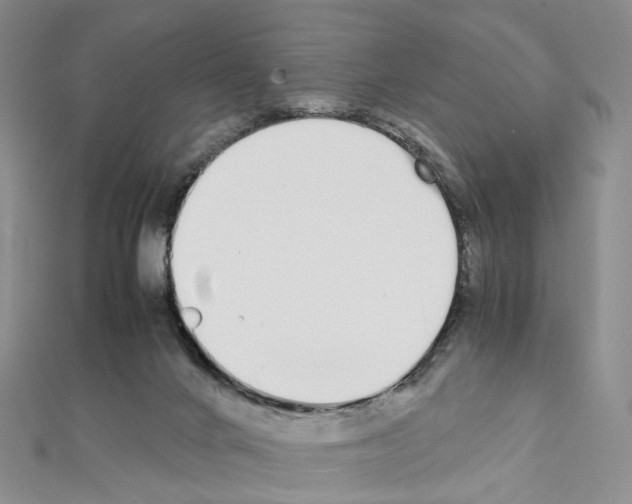 X0000111450024200908241216
