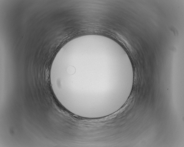 X0000111450025200908241216