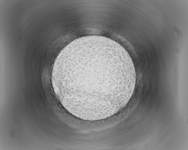 X0000111450026200908241216