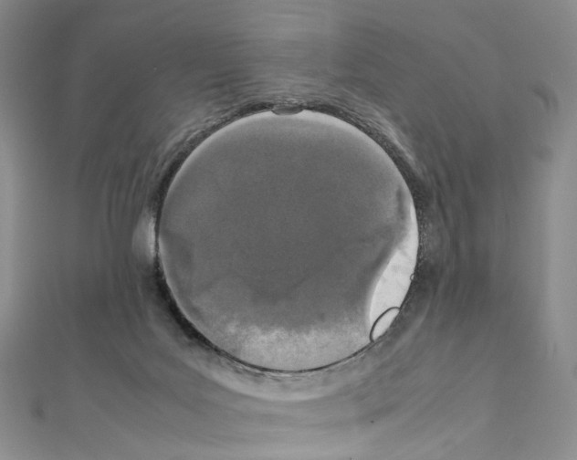 X0000111450027200908241216