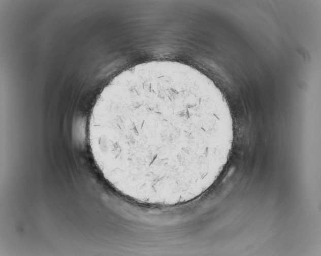 X0000111450028200908241216