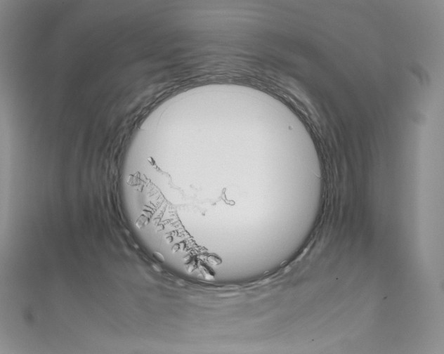 X0000111450029200908241216