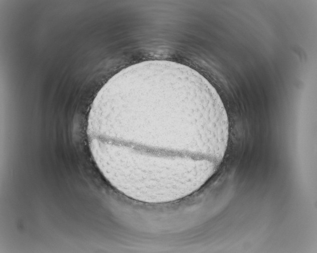 X0000111450030200908241215