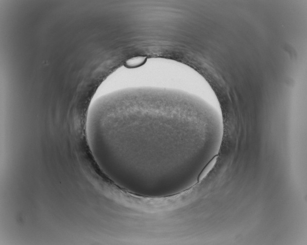 X0000111450031200908241215