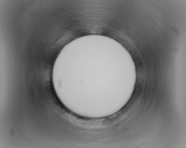 X0000111450032200908241215