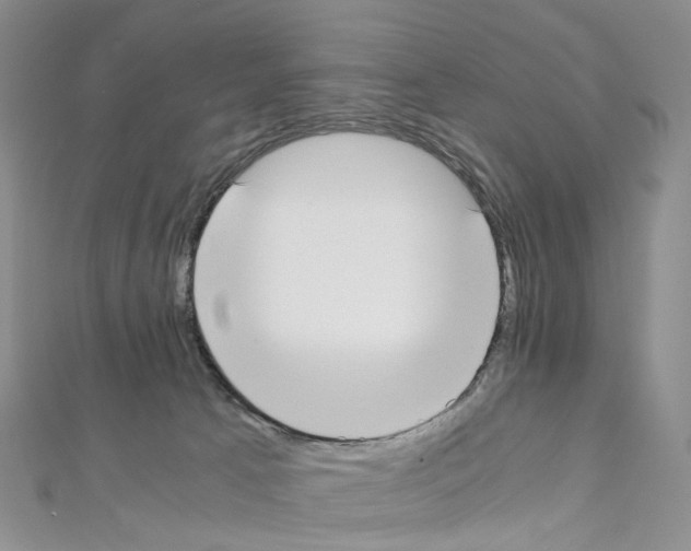 X0000111450033200908241215