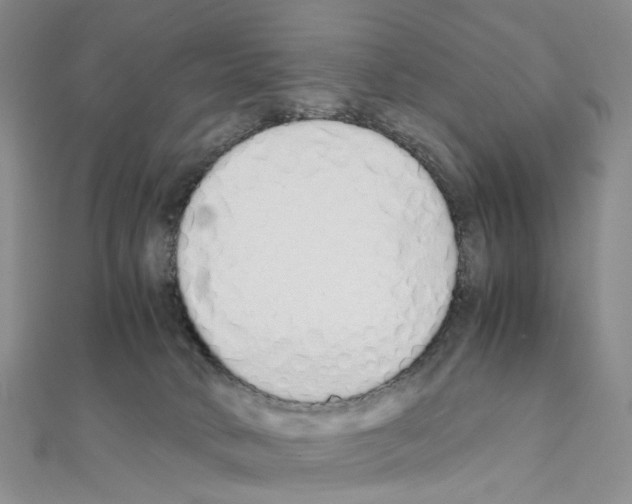 X0000111450034200908241215