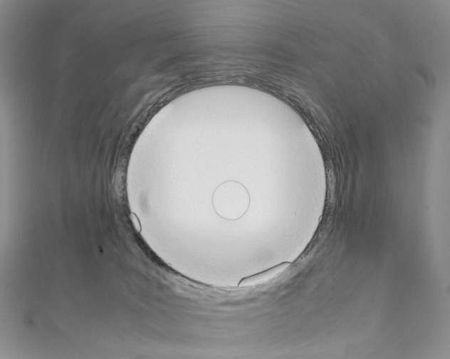 X0000111450035200908241215