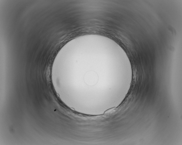 X0000111450036200908241215