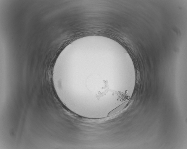 X0000111450037200908241215