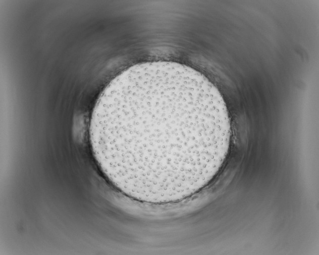X0000111450038200908241215
