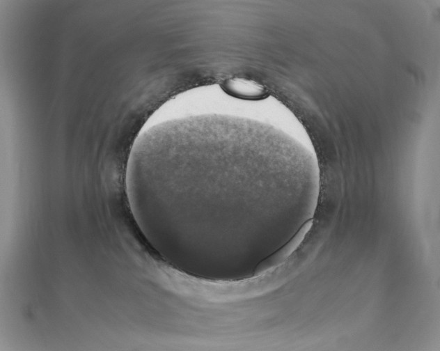 X0000111450039200908241215