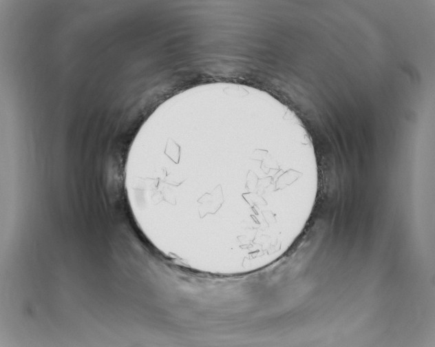 X0000111450040200908241215