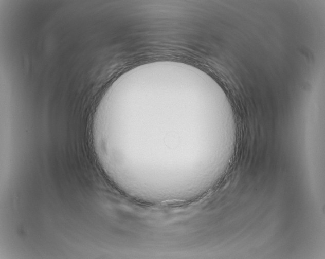 X0000111450041200908241215