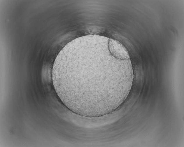 X0000111450042200908241215