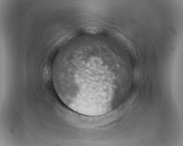 X0000111450043200908241215