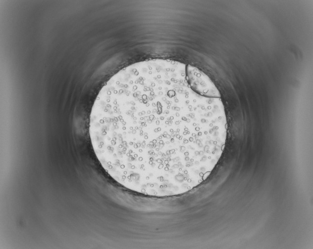 X0000111450044200908241215