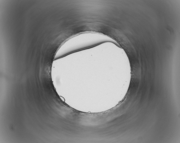 X0000111450045200908241215