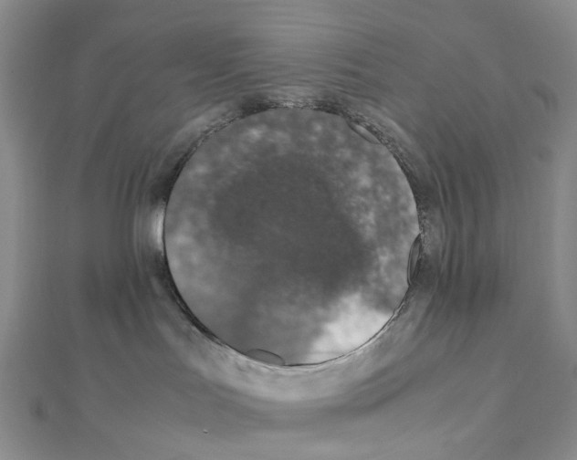 X0000111450047200908241215