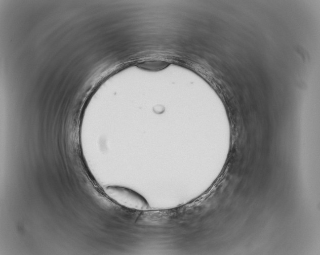 X0000111450050200908241215