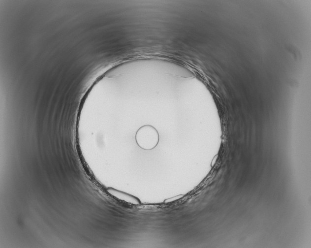 X0000111450052200908241215