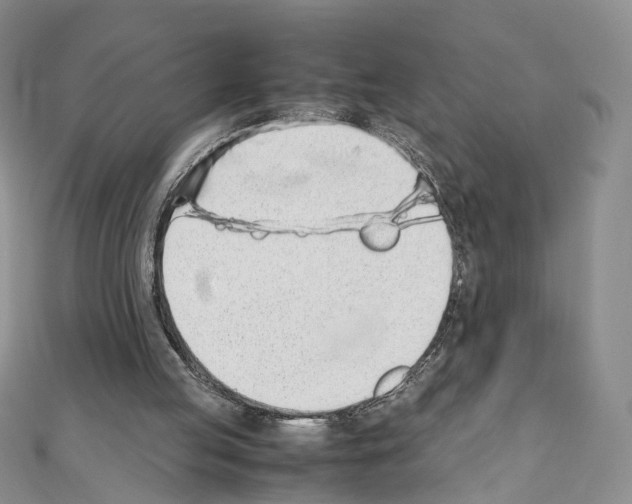 X0000111450053200908241215