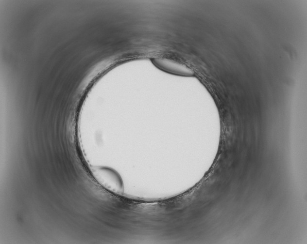 X0000111450054200908241215