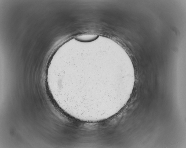 X0000111450055200908241215